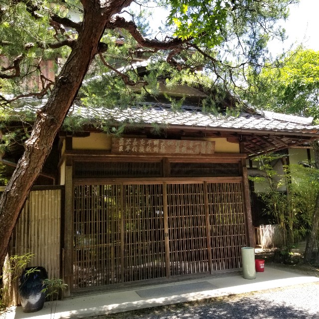 f:id:atoriatoriatori:20210615171649j:image