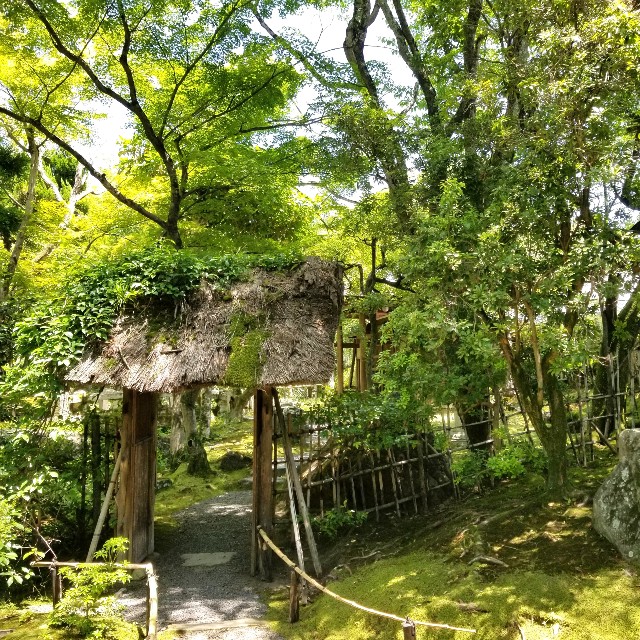 f:id:atoriatoriatori:20210615171857j:image