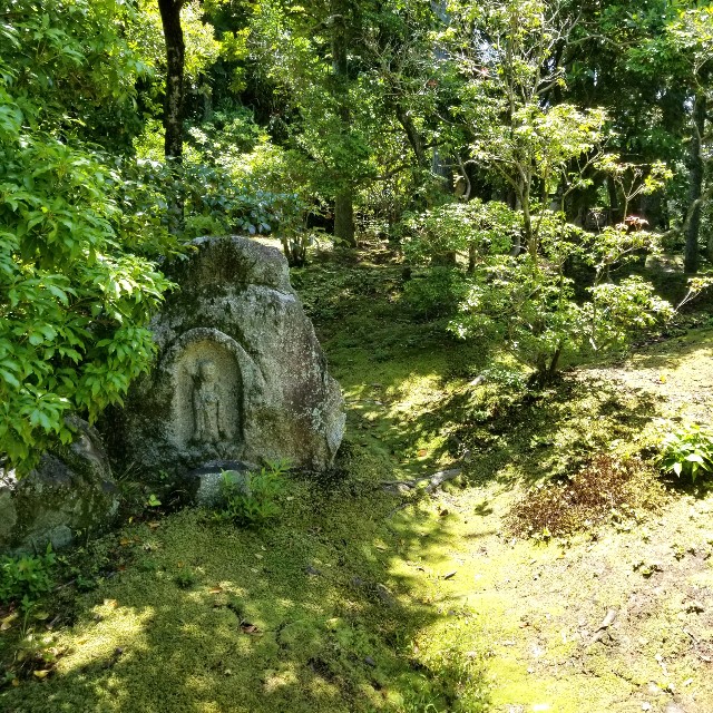 f:id:atoriatoriatori:20210615183130j:image