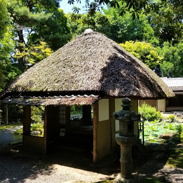 f:id:atoriatoriatori:20210615185721j:image