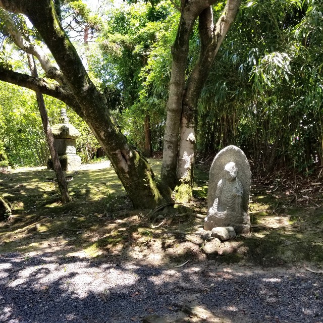 f:id:atoriatoriatori:20210615195417j:image