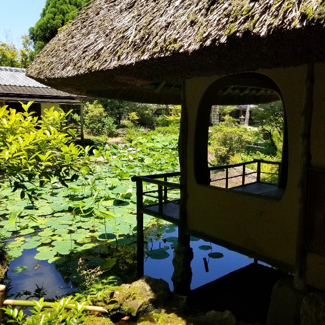 f:id:atoriatoriatori:20210615195439j:image