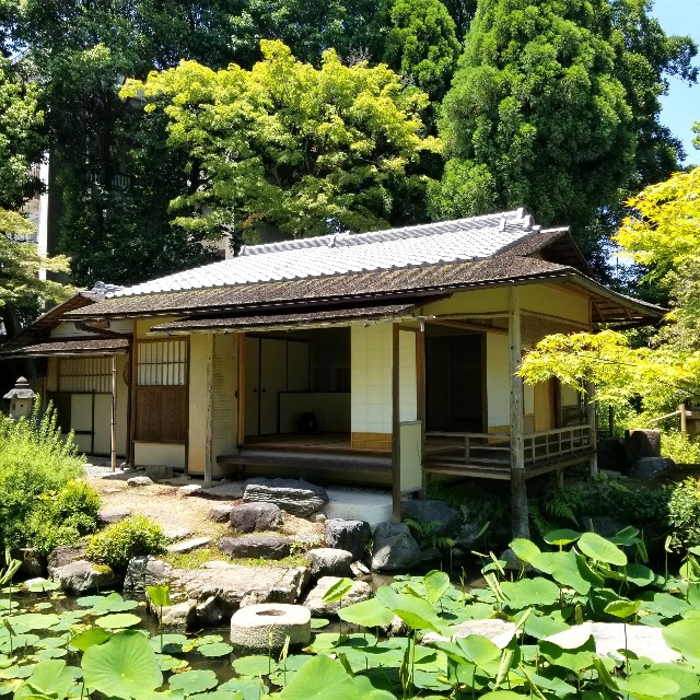 f:id:atoriatoriatori:20210615195949j:image