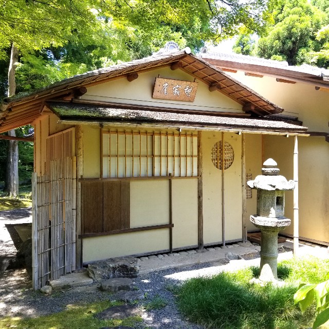 f:id:atoriatoriatori:20210616094100j:image