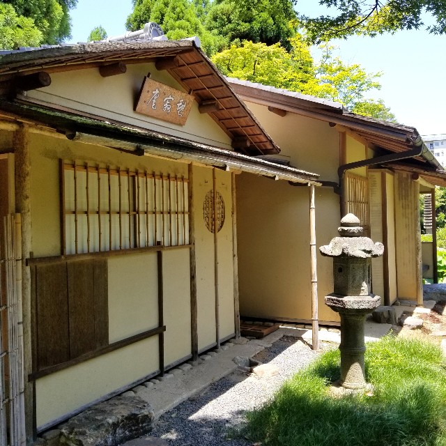 f:id:atoriatoriatori:20210616094108j:image