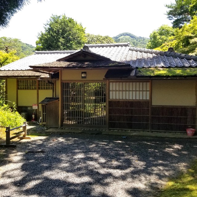 f:id:atoriatoriatori:20210616094124j:image