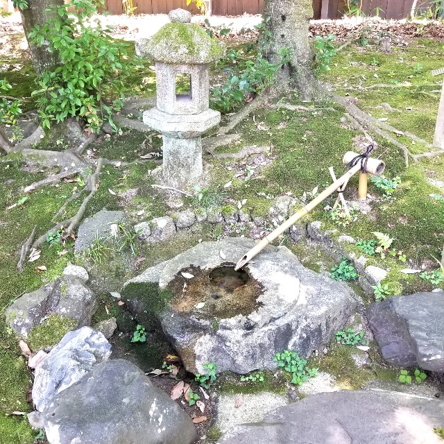 f:id:atoriatoriatori:20210616140644j:image