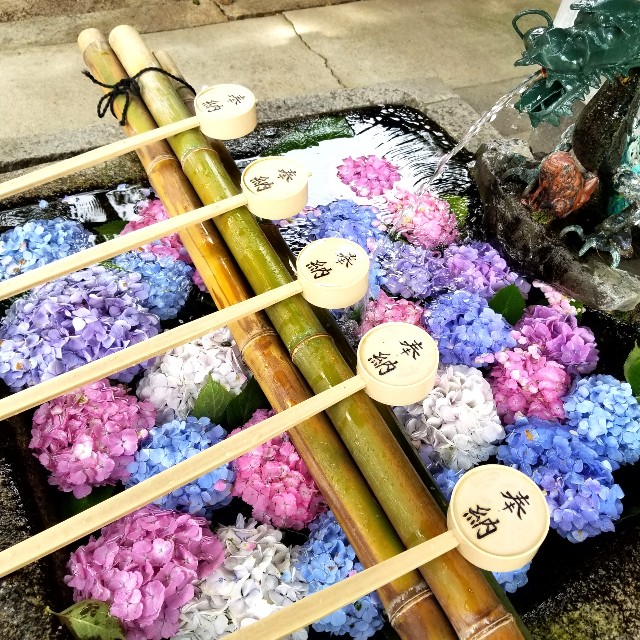京都 御朱印 藤森神社 に行ってきました 京都観光 女子旅 あじさい 主婦ブログ あとりのやっぱり が好き 京都 御朱印 藤森神社 に行ってきました 京都観光 女子旅 あじさい 主婦ブログ あとりのやっぱり が好き