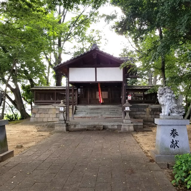 f:id:atoriatoriatori:20210624174257j:image