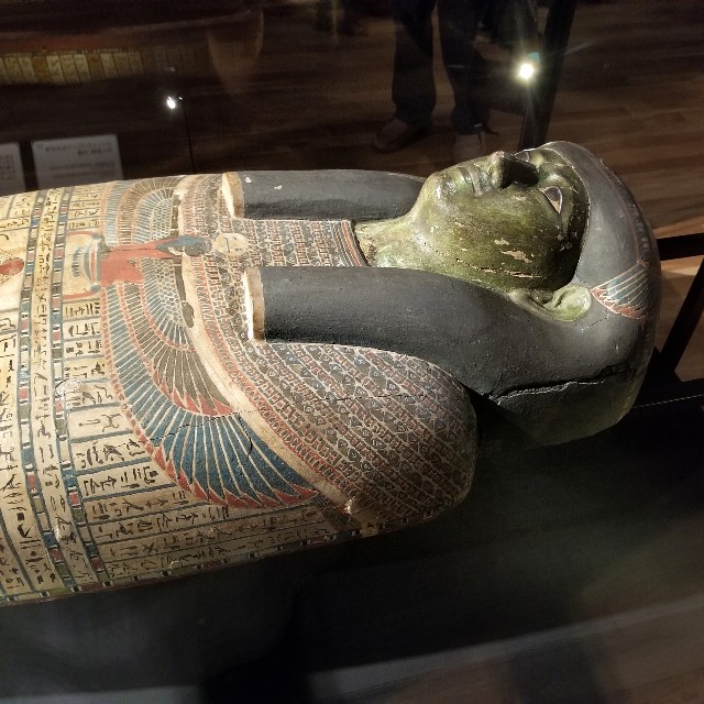 f:id:atoriatoriatori:20210701182618j:image f:id:atoriatoriatori:20210701182618j:image