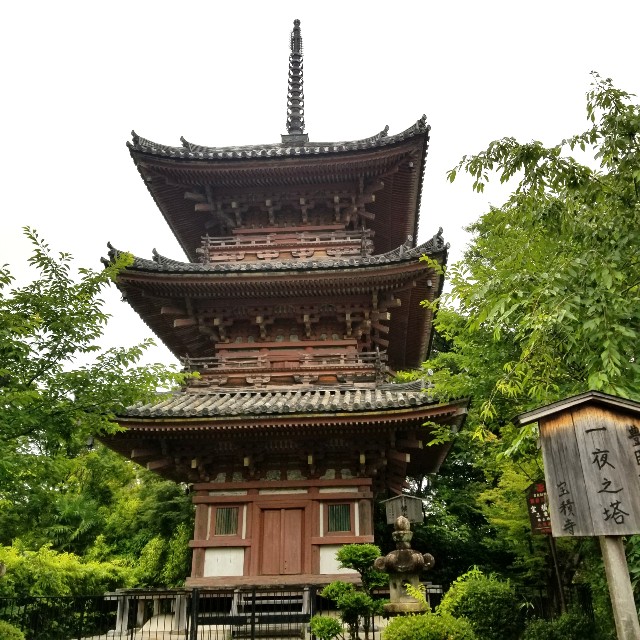f:id:atoriatoriatori:20210707171003j:image