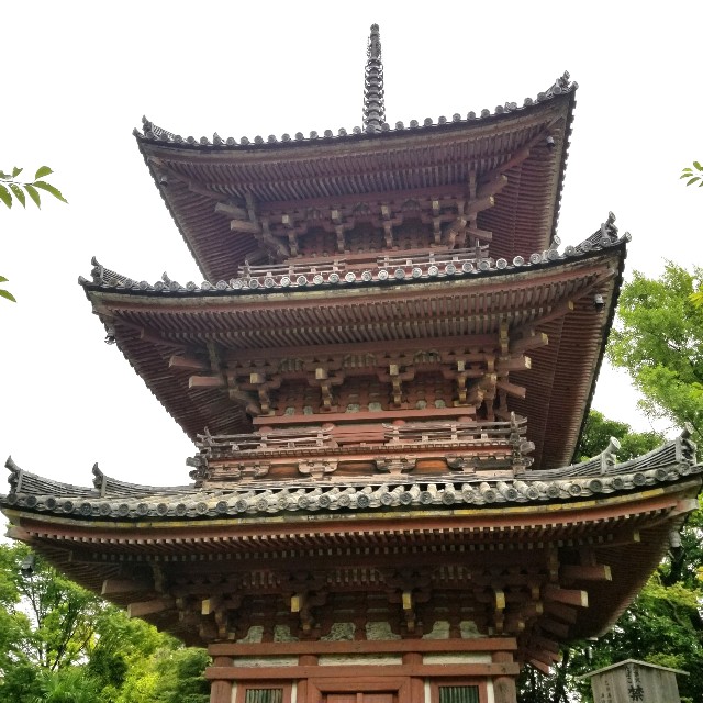 f:id:atoriatoriatori:20210707171153j:image