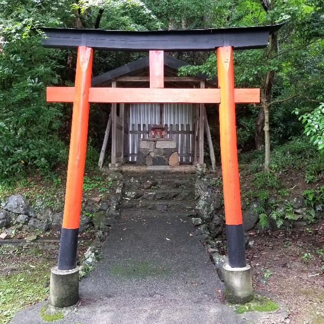 f:id:atoriatoriatori:20210707204537j:image