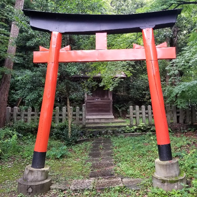 f:id:atoriatoriatori:20210707204600j:image