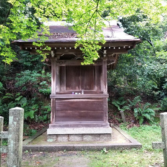 f:id:atoriatoriatori:20210707204611j:image