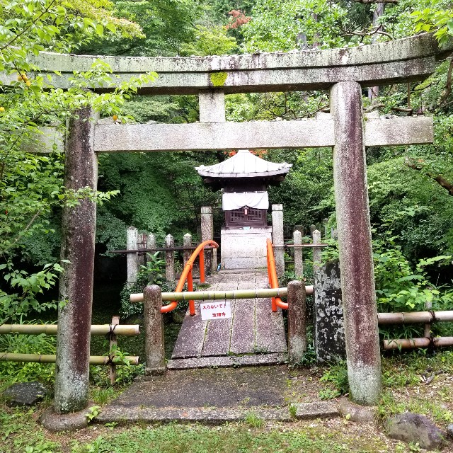 f:id:atoriatoriatori:20210707204945j:image
