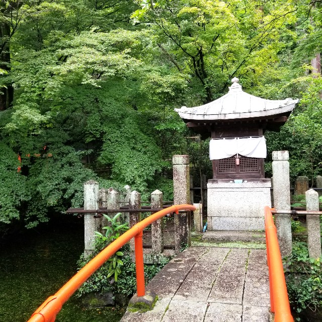 f:id:atoriatoriatori:20210707204954j:image
