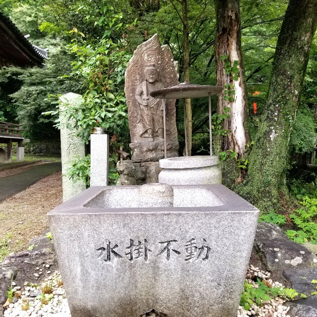 f:id:atoriatoriatori:20210707220926j:image