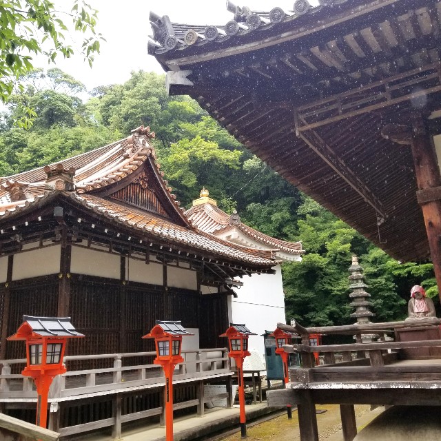 f:id:atoriatoriatori:20210708093307j:image