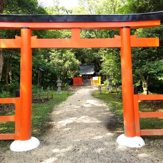 f:id:atoriatoriatori:20210729095331j:image