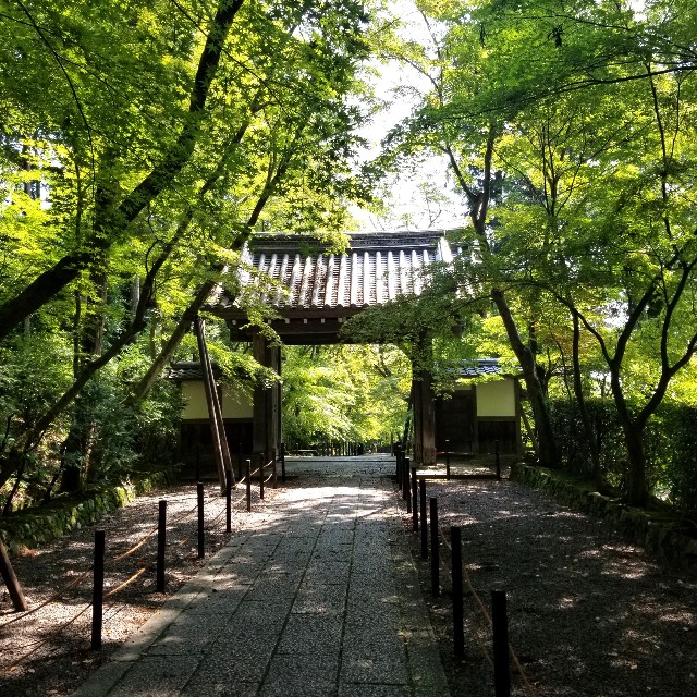 f:id:atoriatoriatori:20210801101922j:image