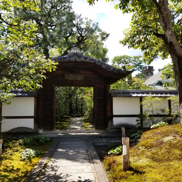 f:id:atoriatoriatori:20210806111047j:image