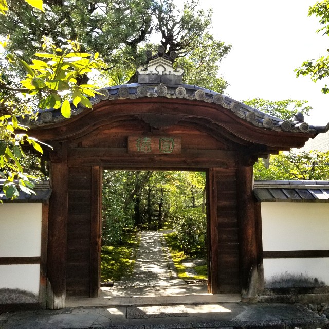 f:id:atoriatoriatori:20210806111056j:image