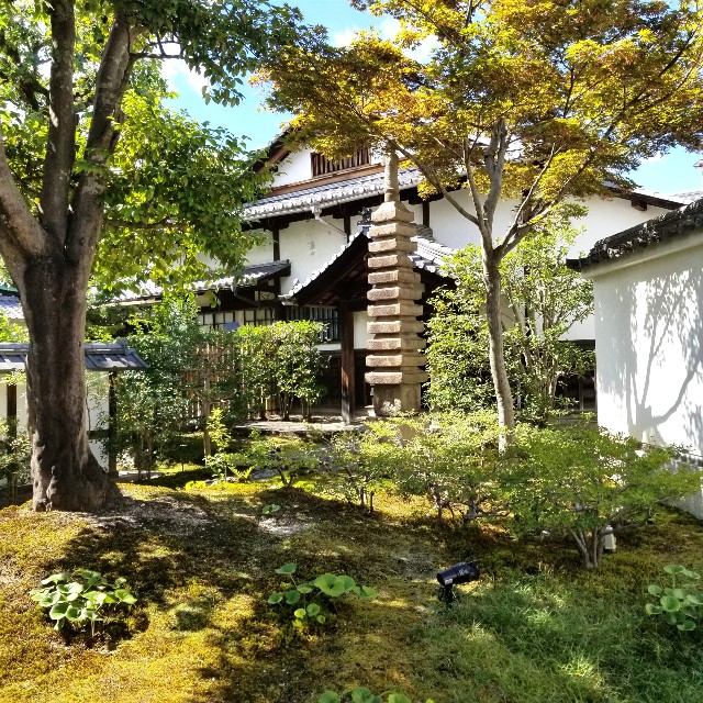 f:id:atoriatoriatori:20210806111425j:image