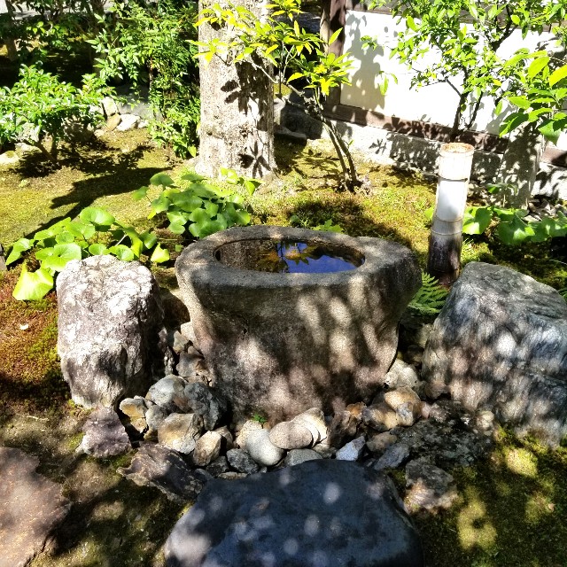 f:id:atoriatoriatori:20210806111827j:image