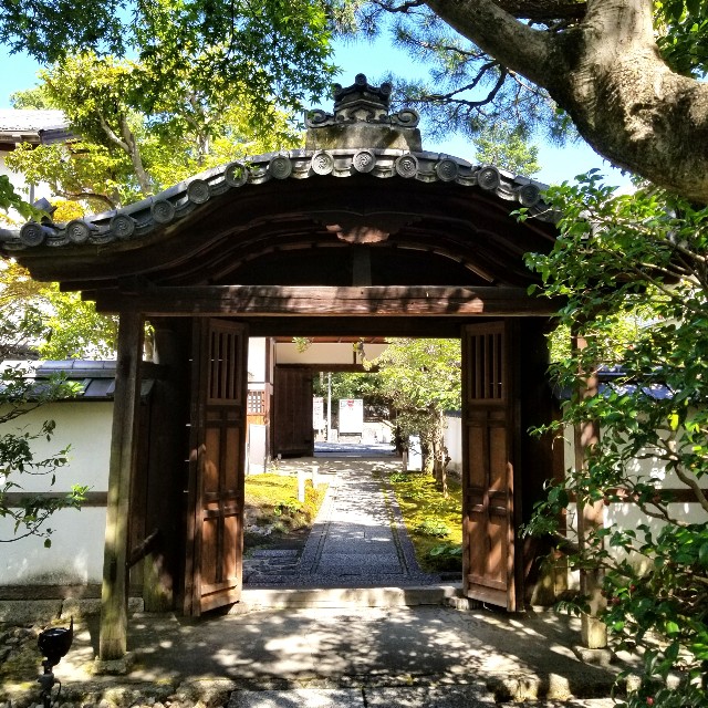 f:id:atoriatoriatori:20210806114857j:image