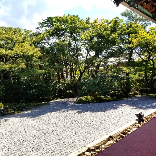 f:id:atoriatoriatori:20210806131728j:image