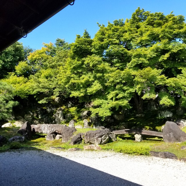 f:id:atoriatoriatori:20210806145540j:image