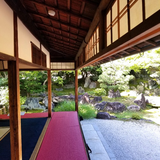 f:id:atoriatoriatori:20210806145554j:image