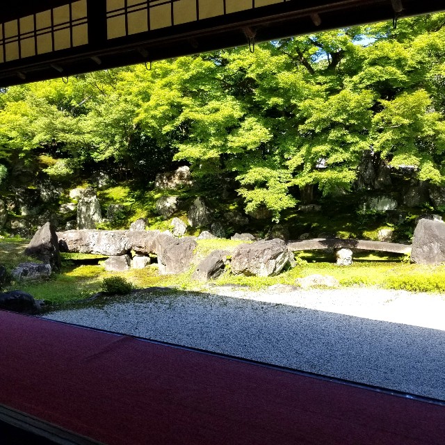 f:id:atoriatoriatori:20210806145601j:image