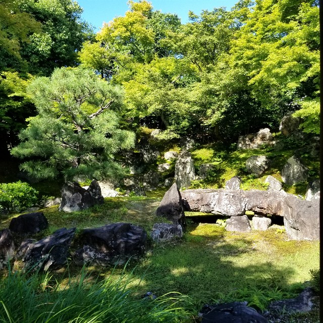 f:id:atoriatoriatori:20210806153649j:image