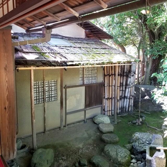 f:id:atoriatoriatori:20210806153657j:image