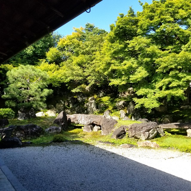 f:id:atoriatoriatori:20210806153704j:image