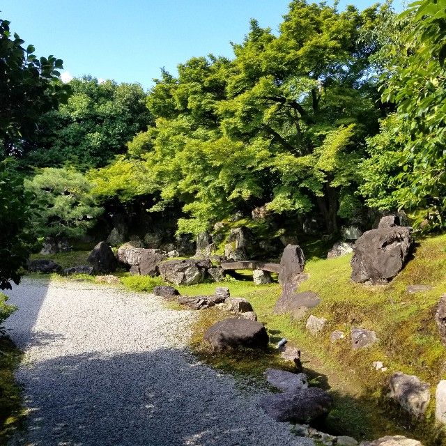 f:id:atoriatoriatori:20210806154918j:image