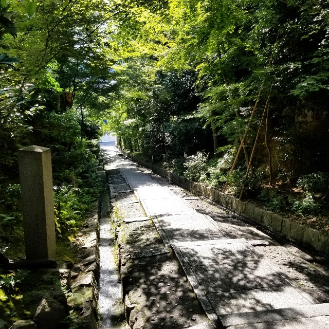 f:id:atoriatoriatori:20210806183910j:image