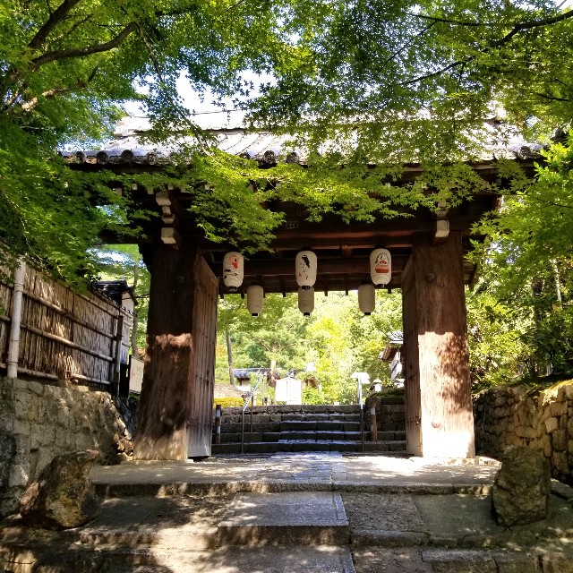 f:id:atoriatoriatori:20210806185028j:image