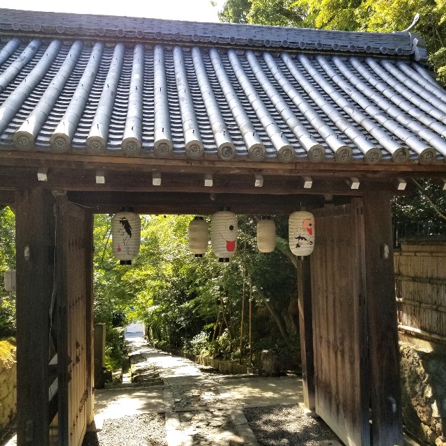 f:id:atoriatoriatori:20210806185159j:image