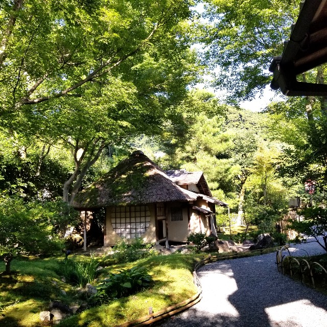 f:id:atoriatoriatori:20210808212931j:image