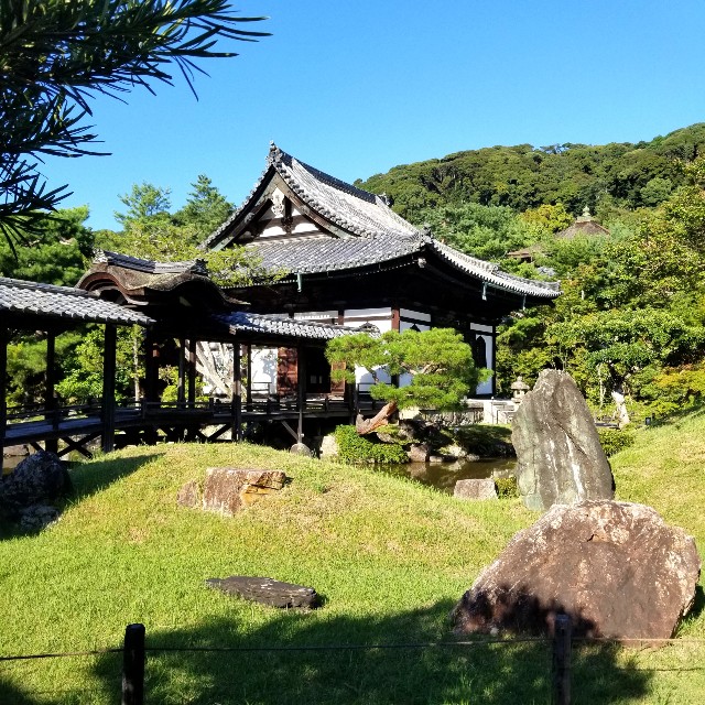 f:id:atoriatoriatori:20210809201345j:image