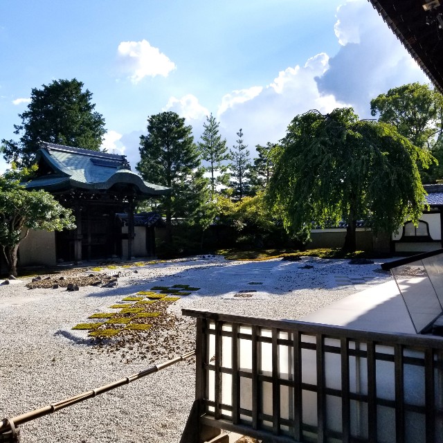 f:id:atoriatoriatori:20210809203616j:image