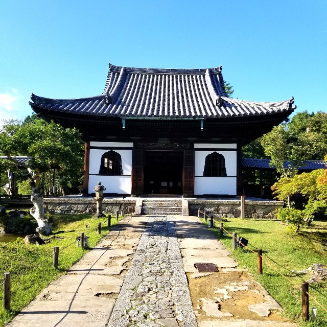 f:id:atoriatoriatori:20210810084850j:image