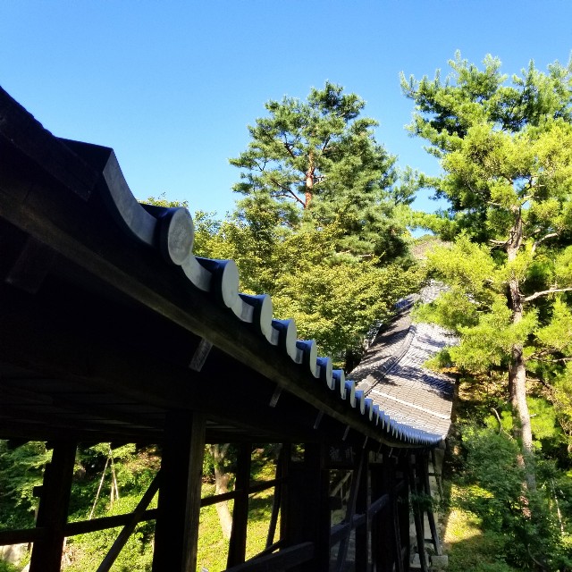 f:id:atoriatoriatori:20210810090118j:image