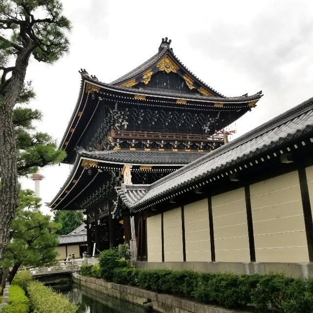 f:id:atoriatoriatori:20210817201409j:image