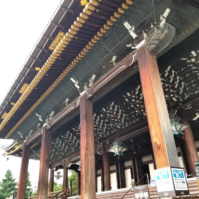 f:id:atoriatoriatori:20210818213653j:image