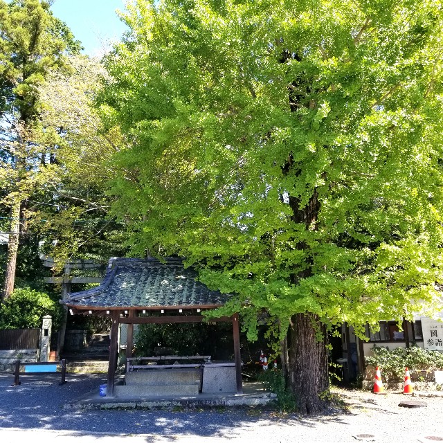 f:id:atoriatoriatori:20210930205534j:image f:id:atoriatoriatori:20210930205534j:image