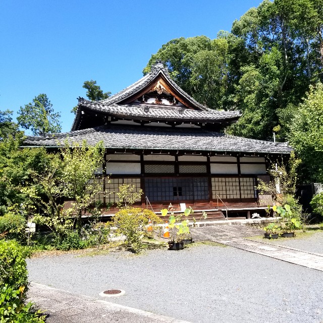 f:id:atoriatoriatori:20211001092331j:image f:id:atoriatoriatori:20211001092331j:image